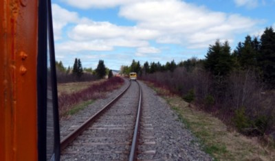 DR25.jpg