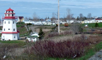 DR43.jpg